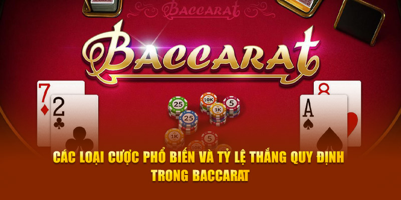 Các loại cược phổ biến và tỷ lệ thắng quy định trong baccarat