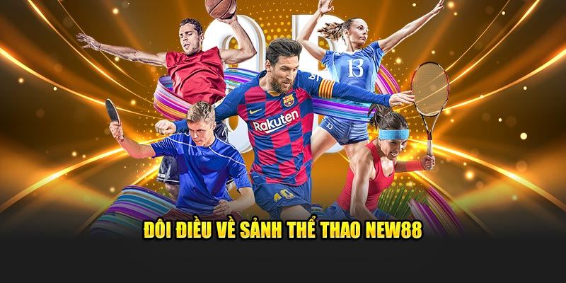 Đôi điều về sảnh thể thao New88